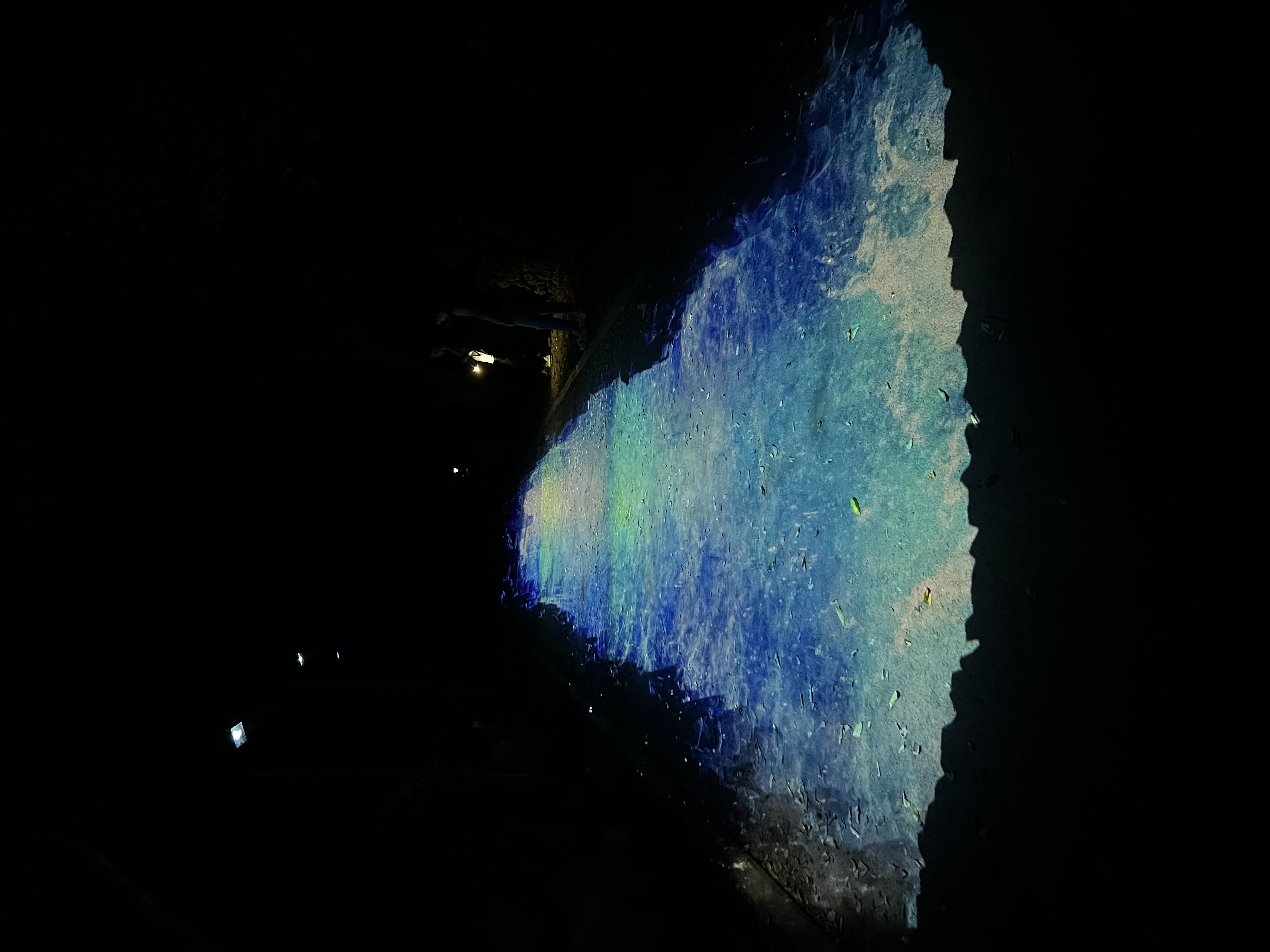 벨섬 야간 바닥 프로젝션 산책길